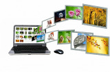 Canva – warsztaty online