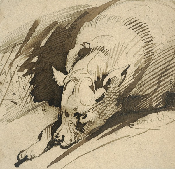 Rysunek przedstawiający odpoczywającego psa. Widoczna jest tylko przednia część zwierzęcia, widzianego z przodu.